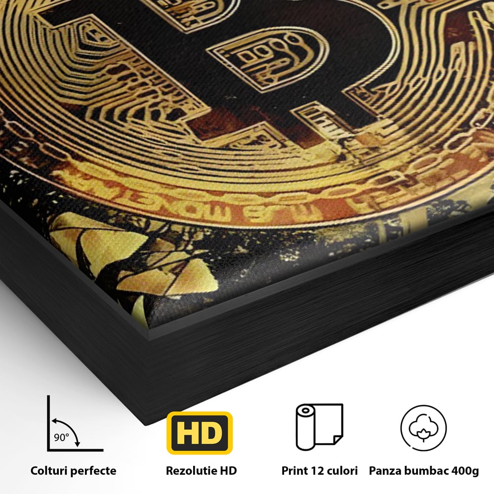 Detaliu al suprafetei: tablou digital cu moneda bitcoin aurie, in rama de aluminiu negru