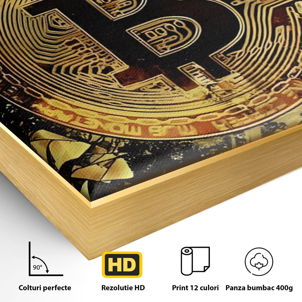 Detaliu al suprafetei: tablou digital cu moneda bitcoin aurie, in rama de aluminiu auriu