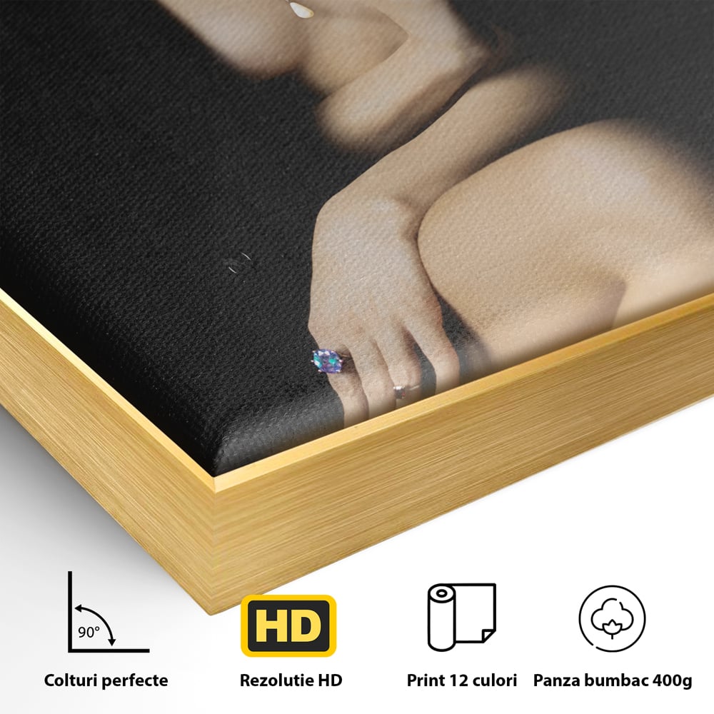 Detaliu al suprafetei: tablou canvas cu portret artistic de femeie, in rama de aluminiu auriu