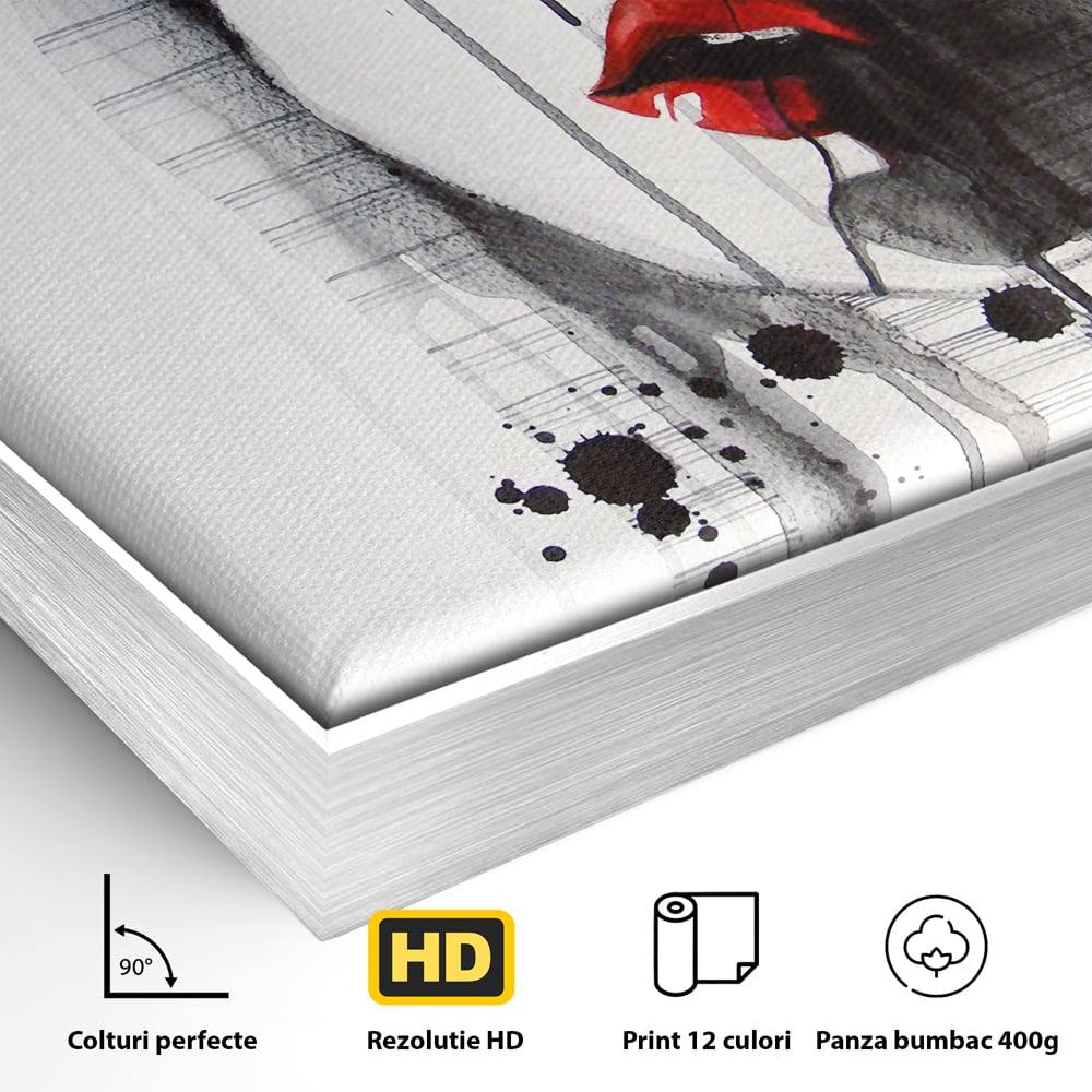 Detaliu al suprafetei: tablou canvas cu chip de femeie si buze rosii, in rama de aluminiu argintiu
