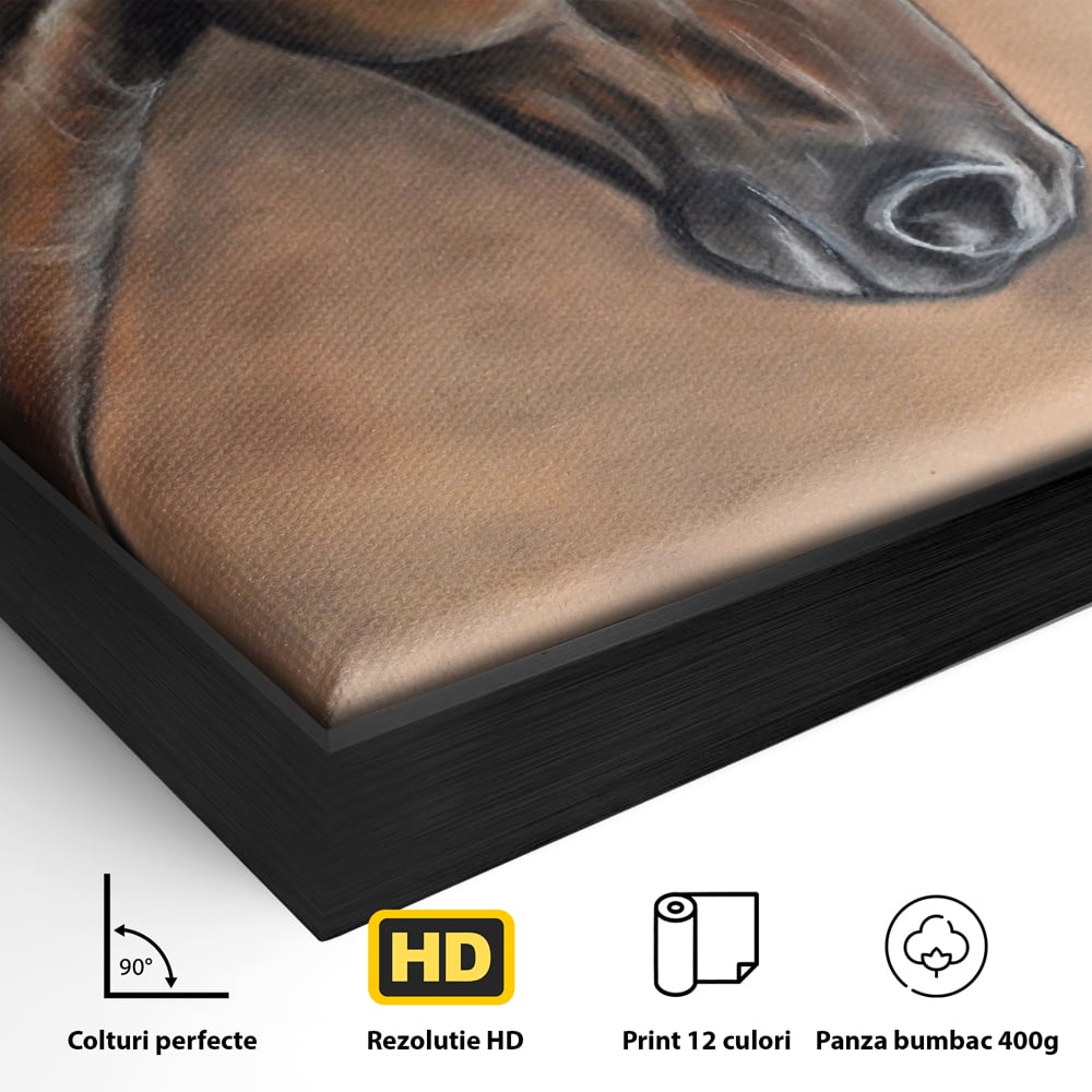 Detaliu al suprafetei: tablou canvas cu portret de cal, in rama de aluminiu negru