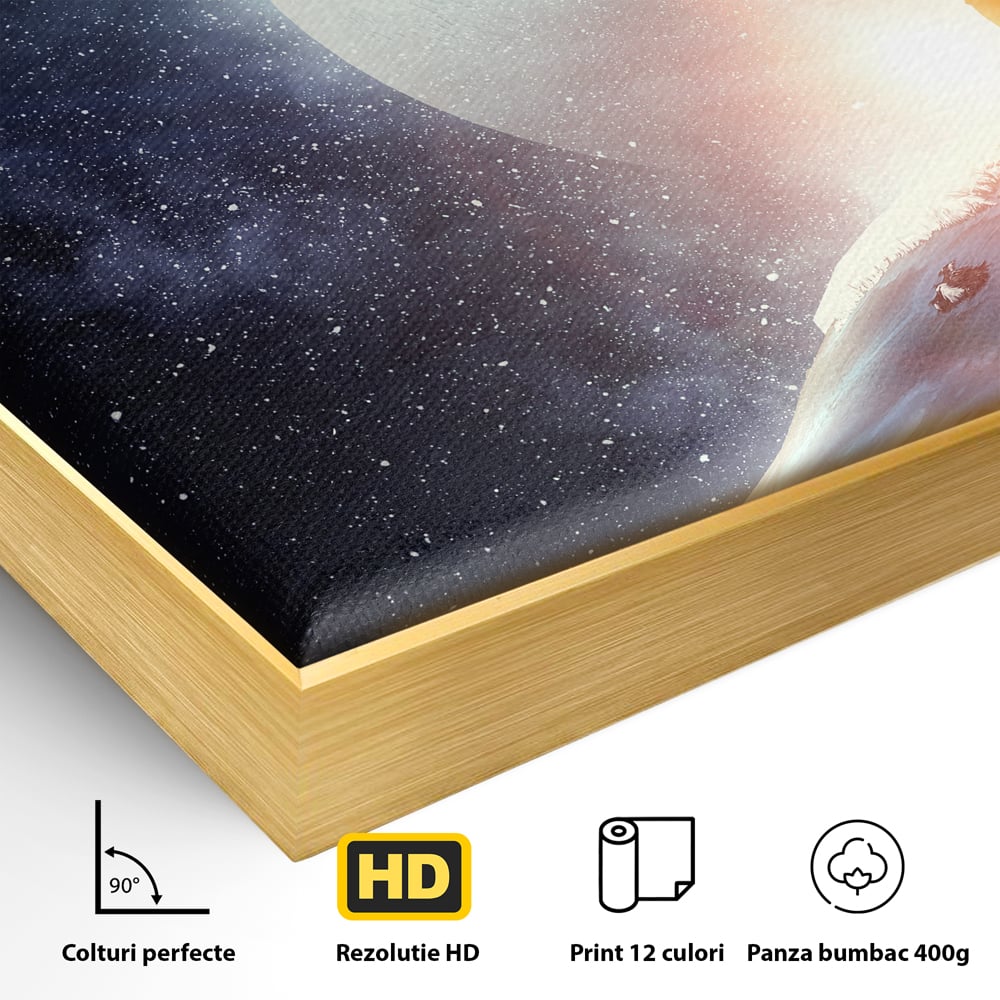 Detaliu al suprafetei: ilustratie digitala cu un cantaret pe glob, in rama de aluminiu auriu