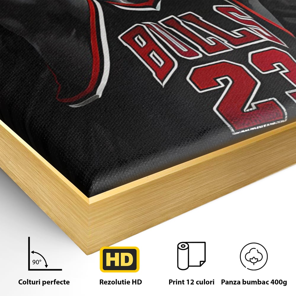 Detaliu al suprafetei: tablou canvas cu michael jordan in actiune, in rama de aluminiu auriu