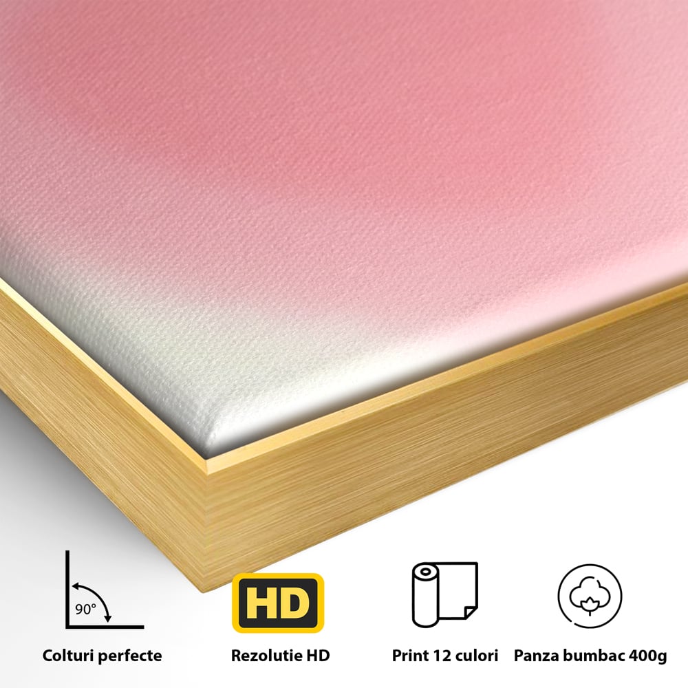 Detaliu al suprafetei: tablou vertical cu inima roz blurata, in rama de aluminiu auriu