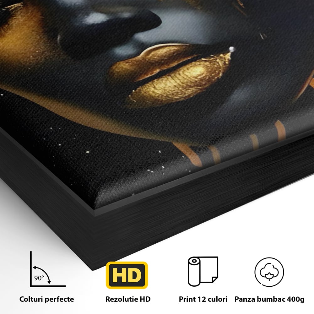Detaliu al suprafetei: tablou canvas cu portret de femeie, in rama de aluminiu negru