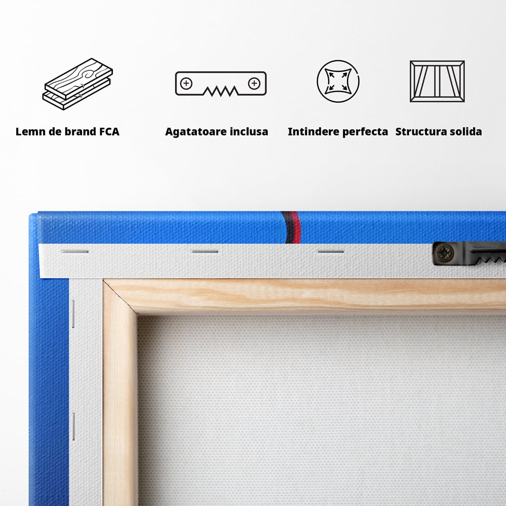 Spatele produsului, cu sasiu din lemn, capse metalice si agatatoare