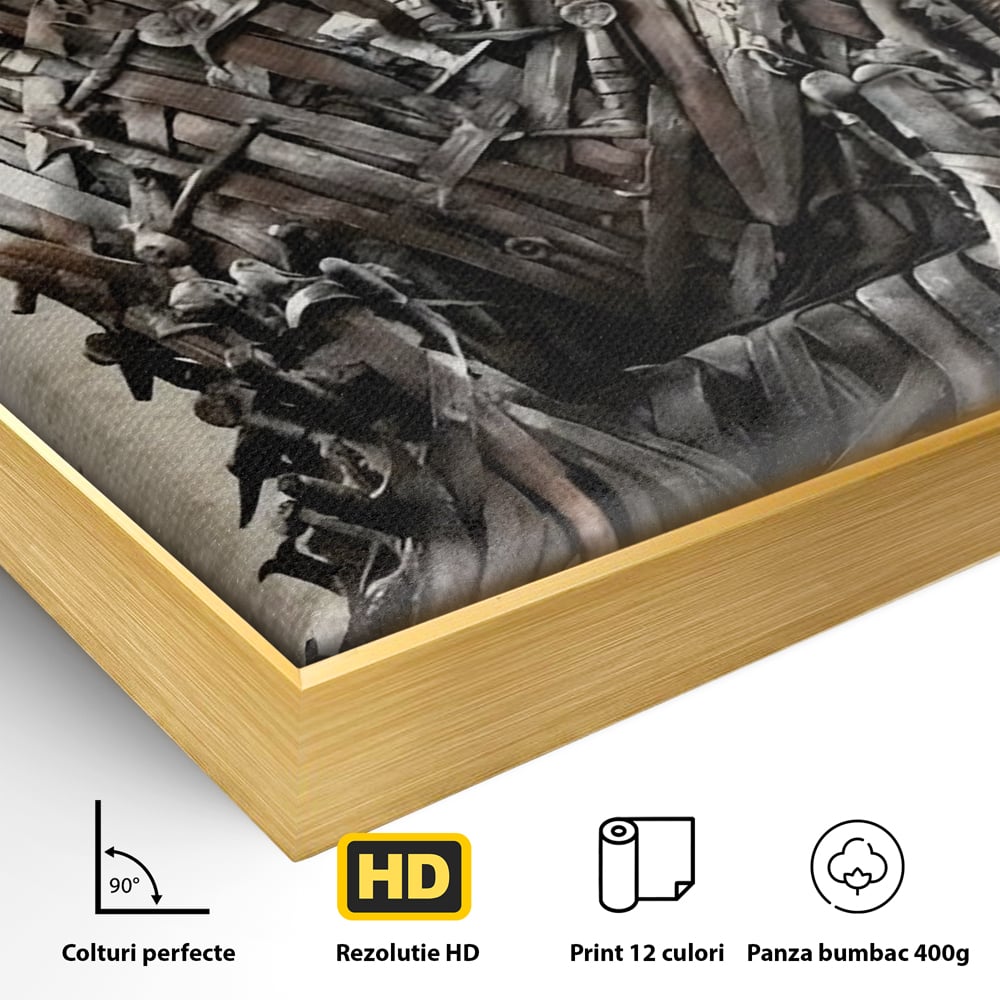 Detaliu al suprafetei: tablou canvas cu tronul din sabii, in rama de aluminiu auriu