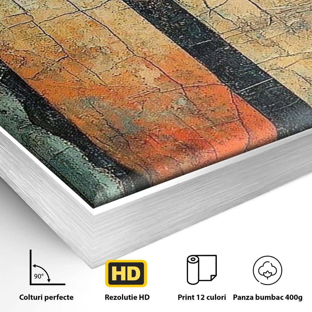 Detaliu al suprafetei: tablou canvas cu ochi printre gratii, in rama de aluminiu argintiu