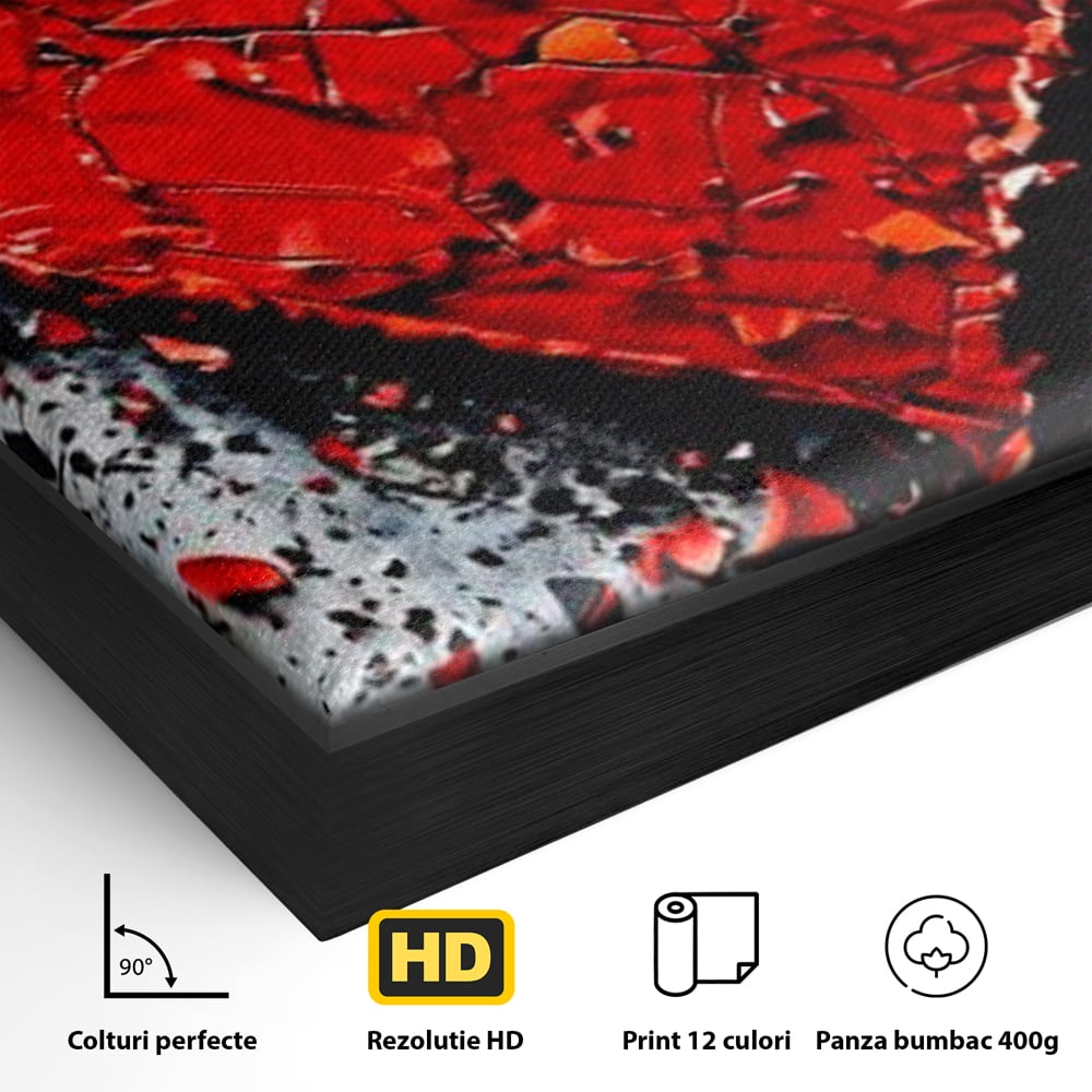 Detaliu al suprafetei: tablou canvas cu o inima rosie crapata, in rama de aluminiu negru