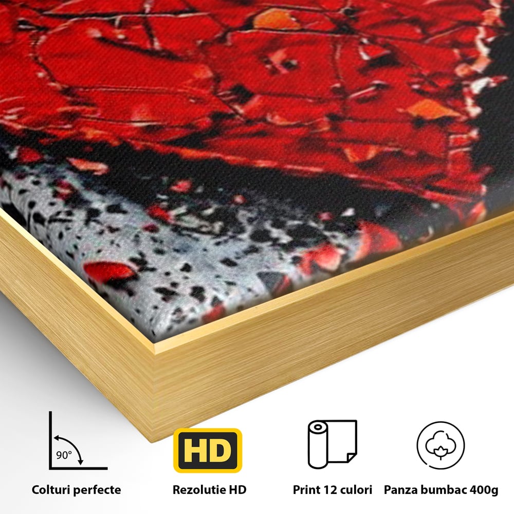 Detaliu al suprafetei: tablou canvas cu o inima rosie crapata, in rama de aluminiu auriu