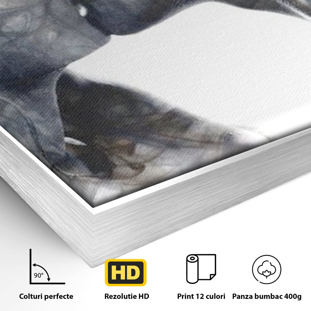 Detaliu al suprafetei: tablou canvas cu siluete in fum, in rama de aluminiu argintiu