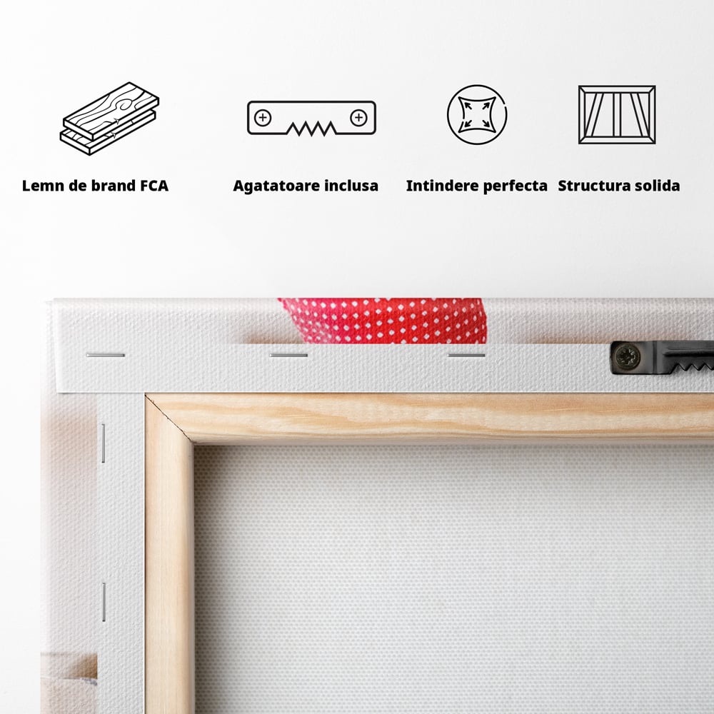 Spatele produsului, cu sasiu din lemn, capse metalice si agatatoare