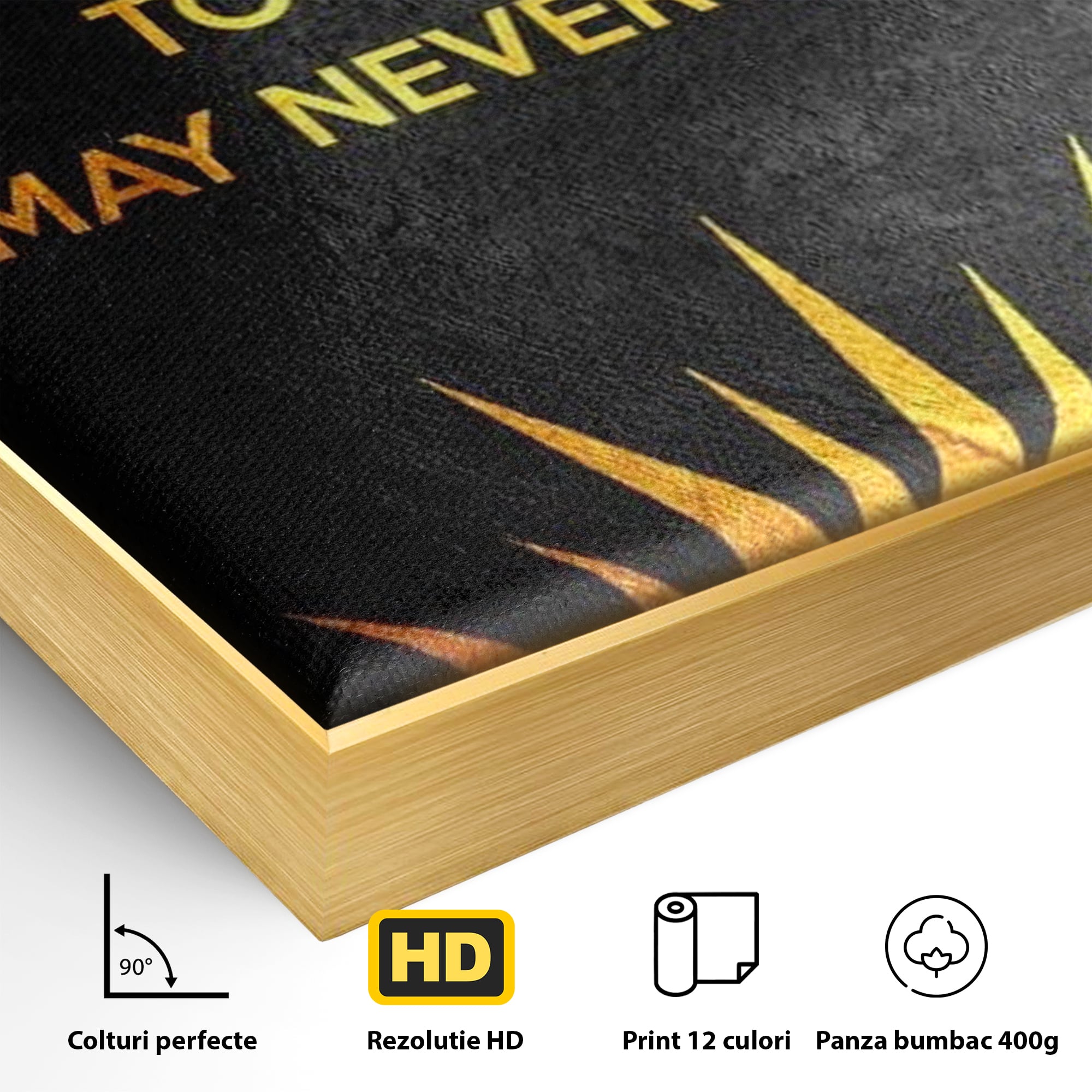 Detaliu al suprafetei: tablou canvas motiv motivational negru si auriu, in rama de aluminiu auriu