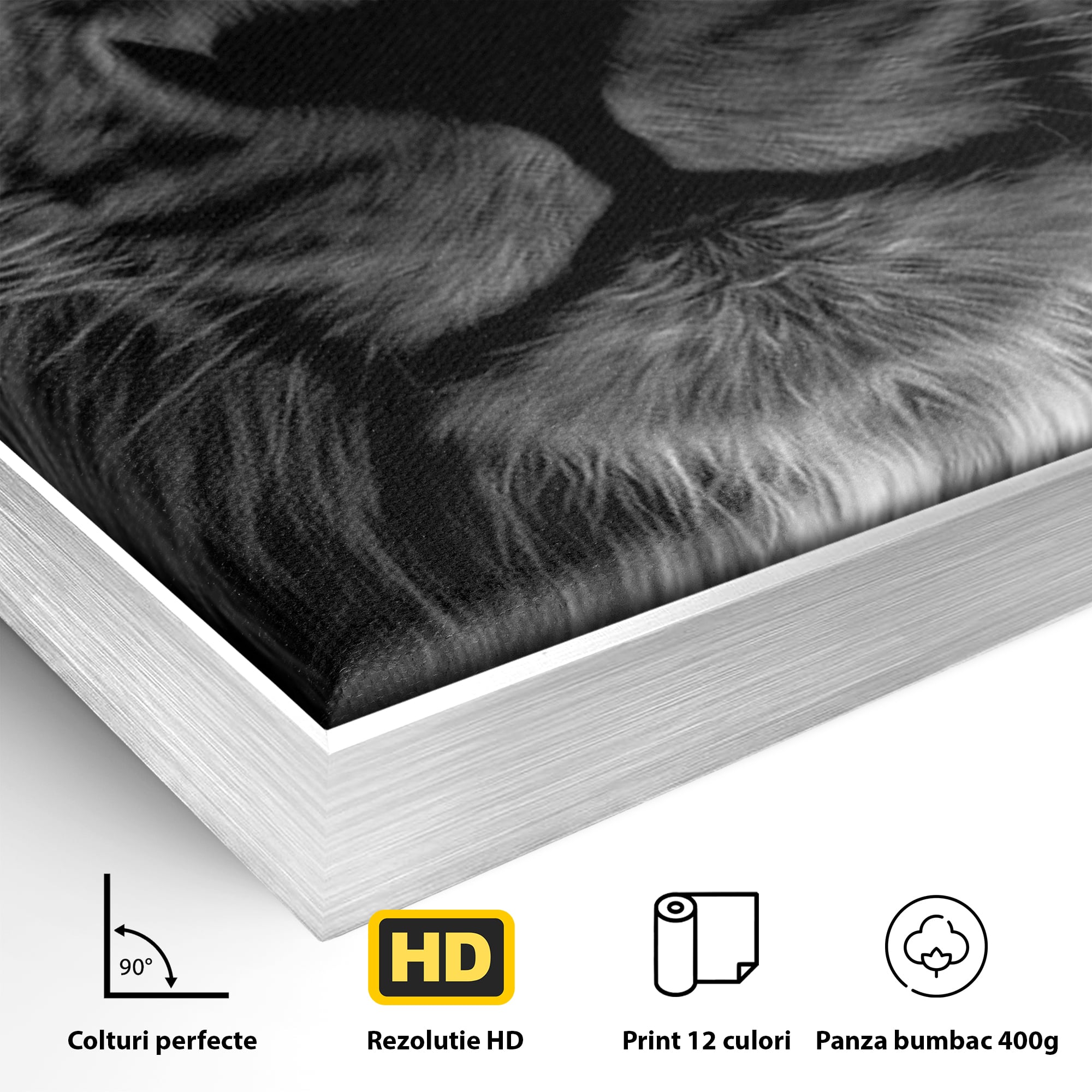 Detaliu al suprafetei: tablou canvas cu leu alb-negru, in rama de aluminiu argintiu