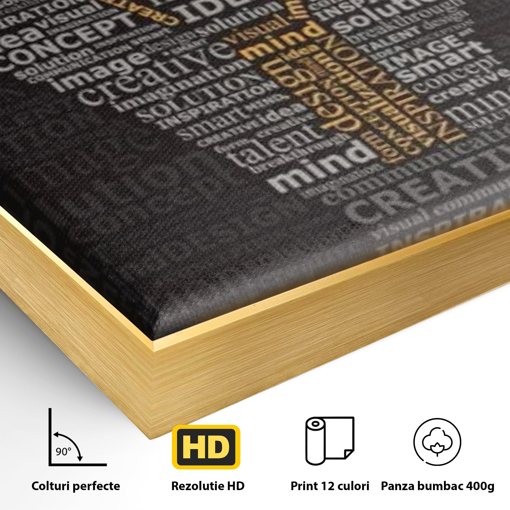 Detaliu al suprafetei: tablou canvas cu silueta de bec formata din cuvinte, in rama de aluminiu auriu
