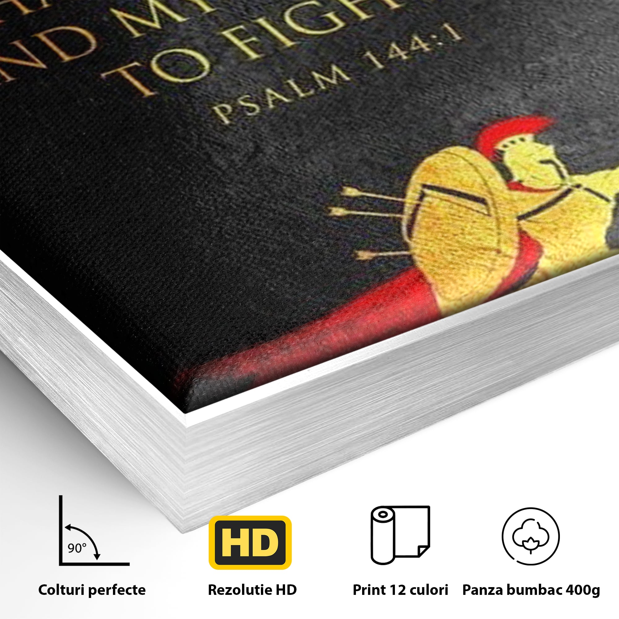 Detaliu al suprafetei: tablou canvas cu razboinic antic si verset, in rama de aluminiu argintiu