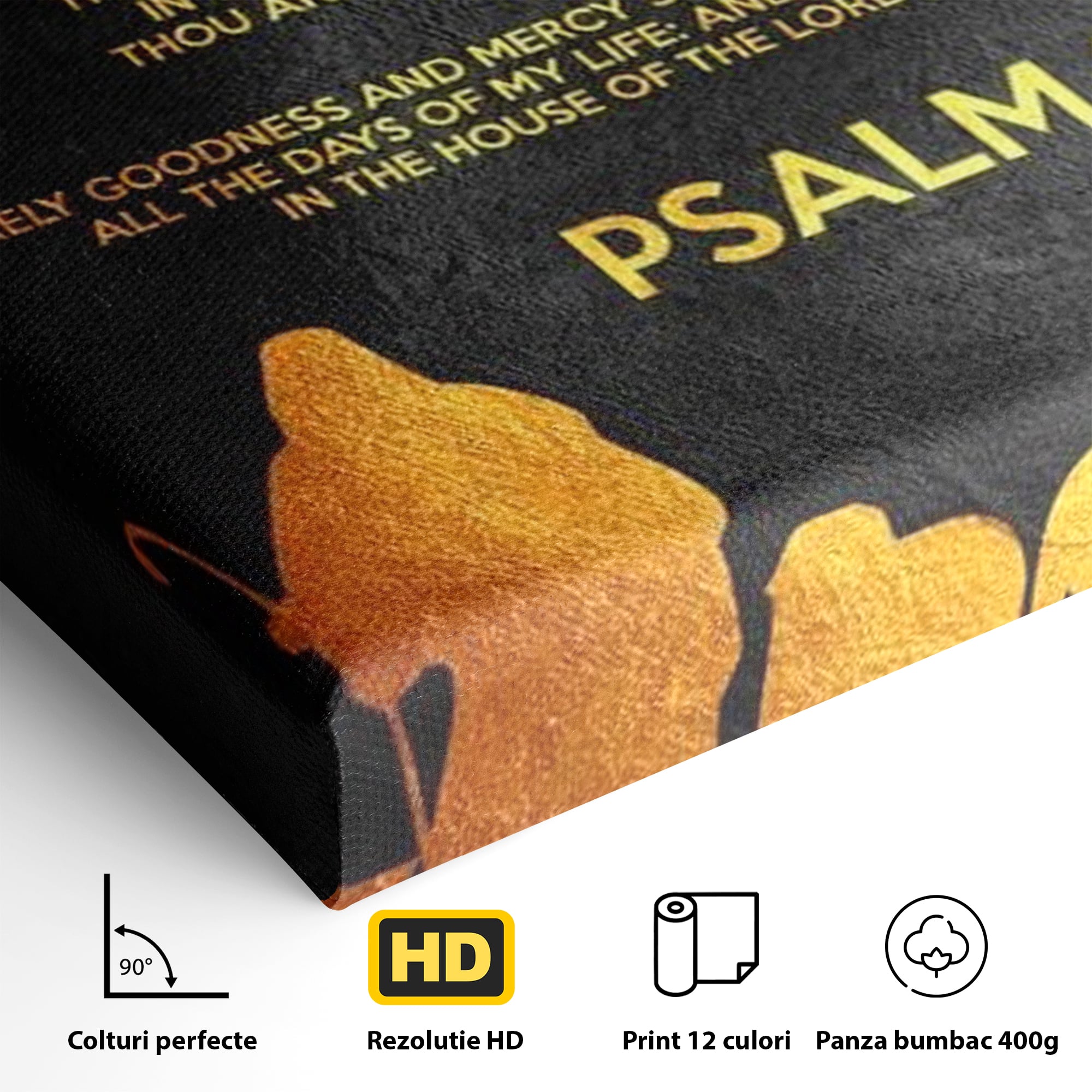 Detaliu al suprafetei: tablou canvas cu psalm si silueta aurie, fara rama, pe sasiu de lemn