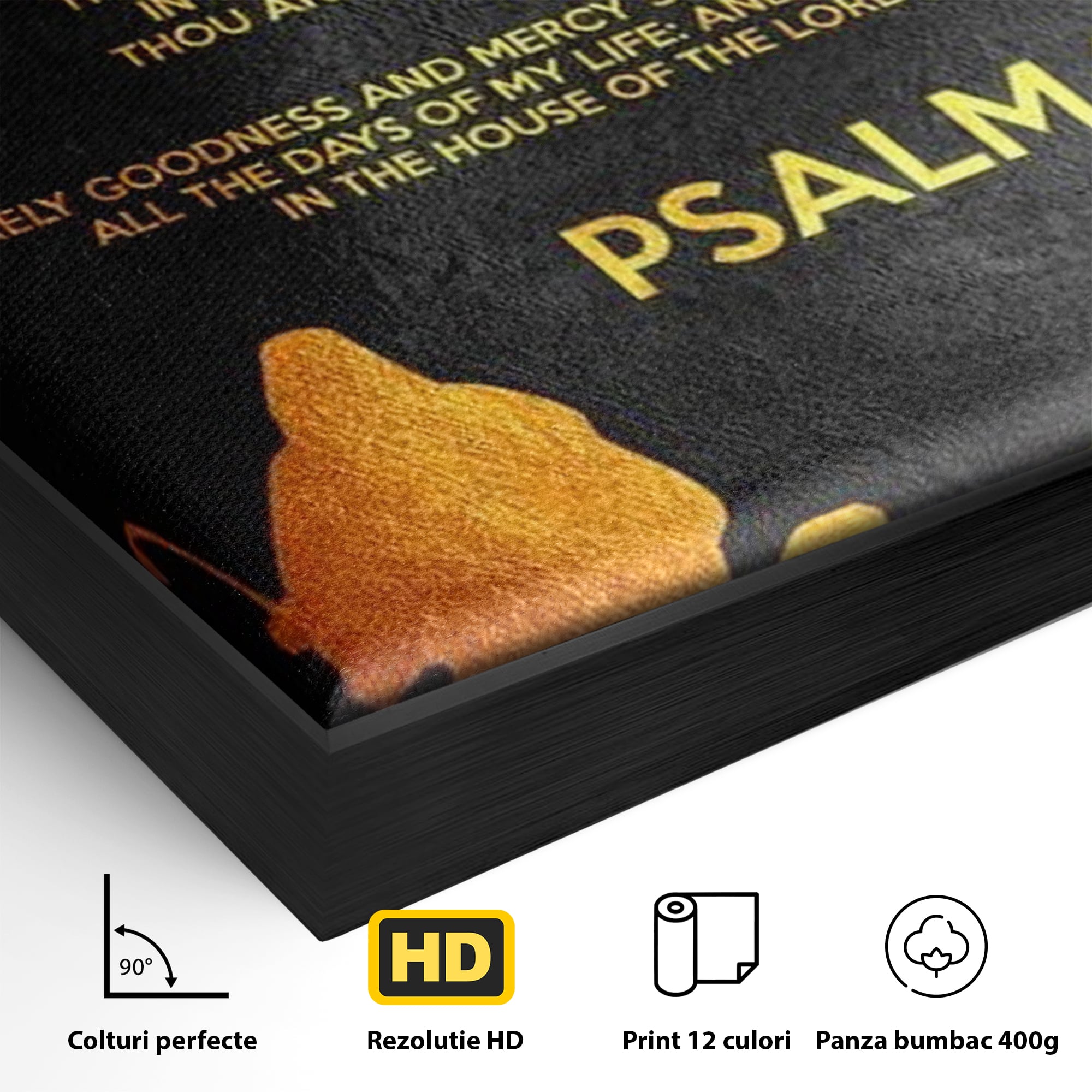 Detaliu al suprafetei: tablou canvas cu psalm si silueta aurie, in rama de aluminiu negru