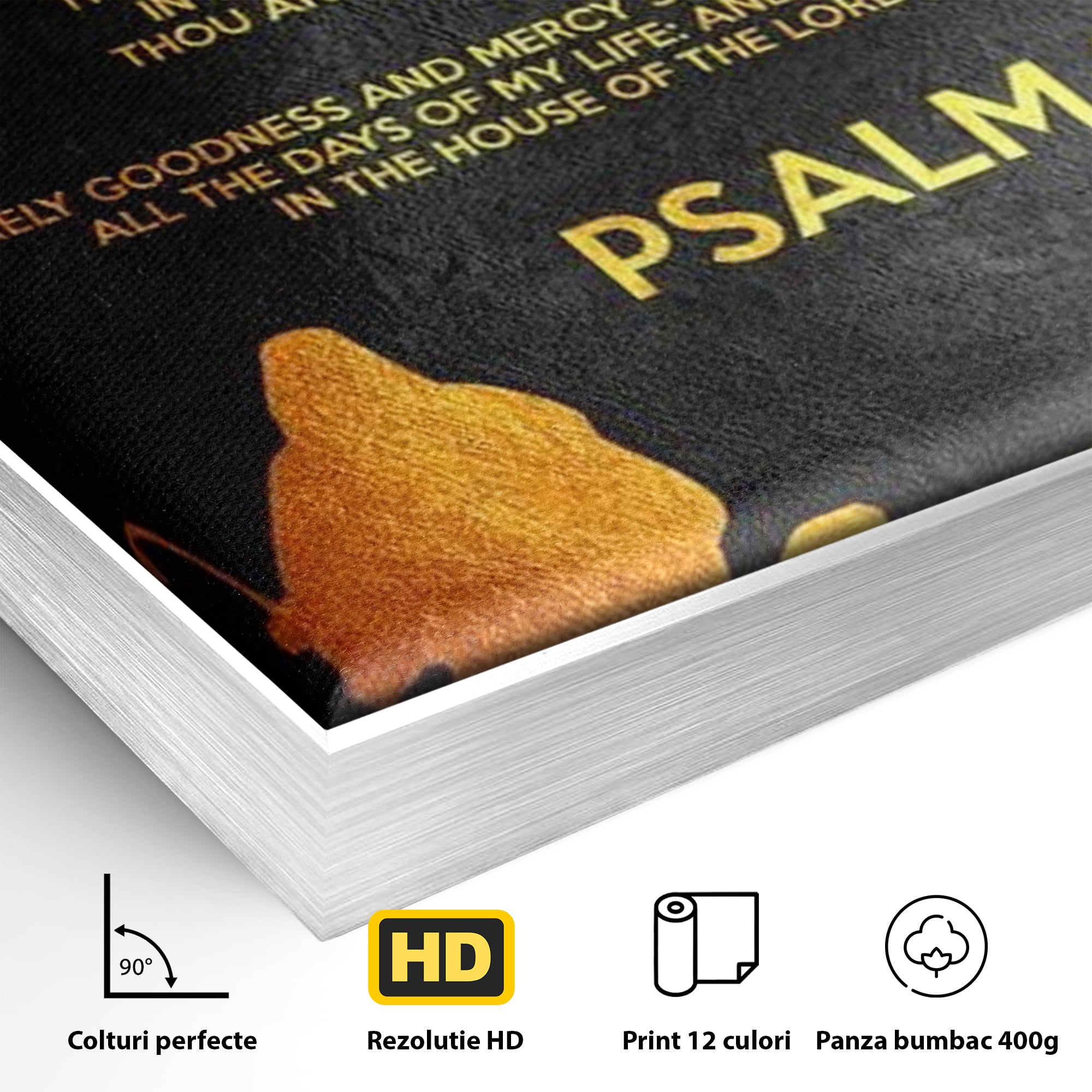 Detaliu al suprafetei: tablou canvas cu psalm si silueta aurie, in rama de aluminiu argintiu