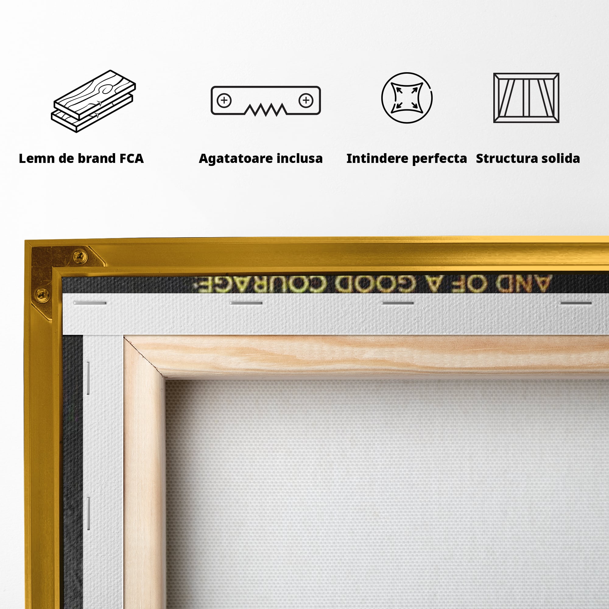 Spatele produsului, cu sasiu din lemn, capse metalice si agatatoare