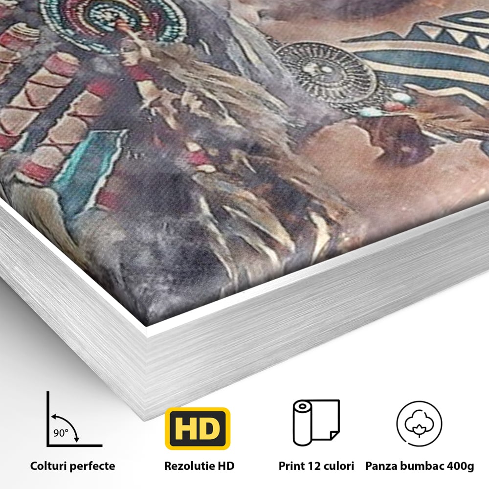 Detaliu al suprafetei: tablou canvas cu femeie indigena, in rama de aluminiu argintiu