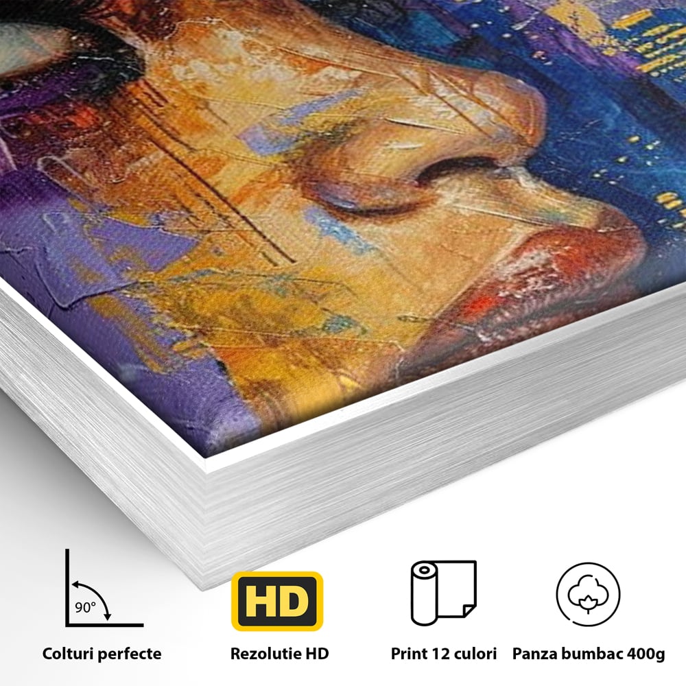 Detaliu al suprafetei: pictura digitala cu profil de femeie, in rama de aluminiu argintiu