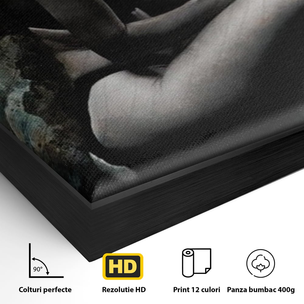 Detaliu al suprafetei: tablou canvas cu silueta feminina, in rama de aluminiu negru