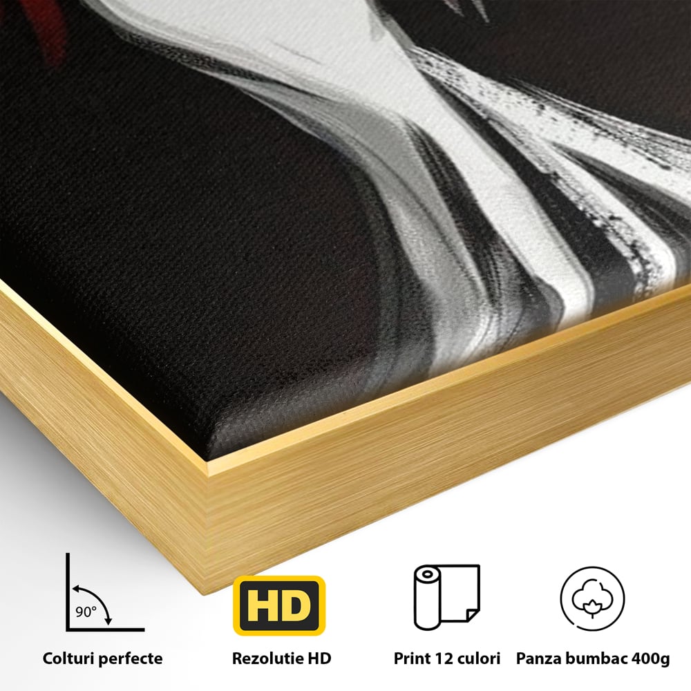 Detaliu al suprafetei: tablou canvas cu silueta de femeie in rochie alba, in rama de aluminiu auriu