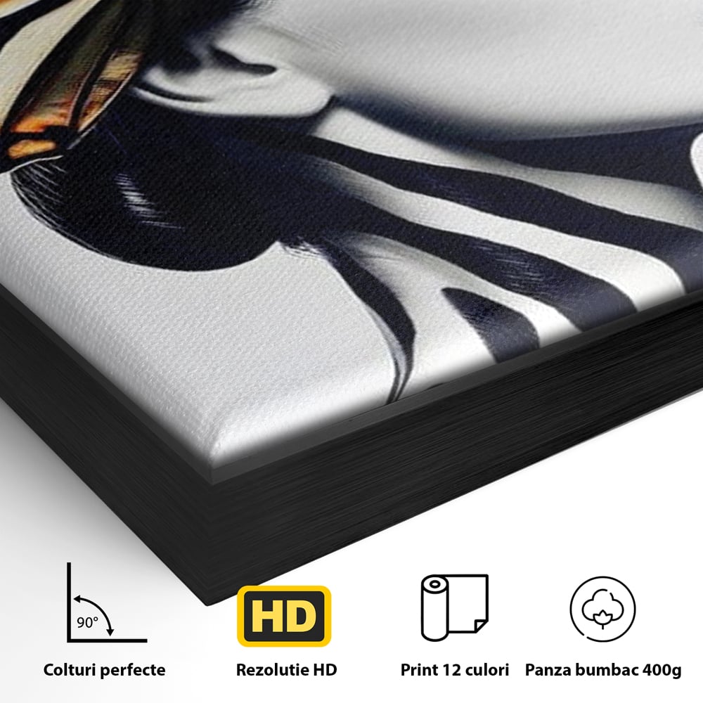 Detaliu al suprafetei: tablou canvas cu femeie si aripa de fluture, in rama de aluminiu negru
