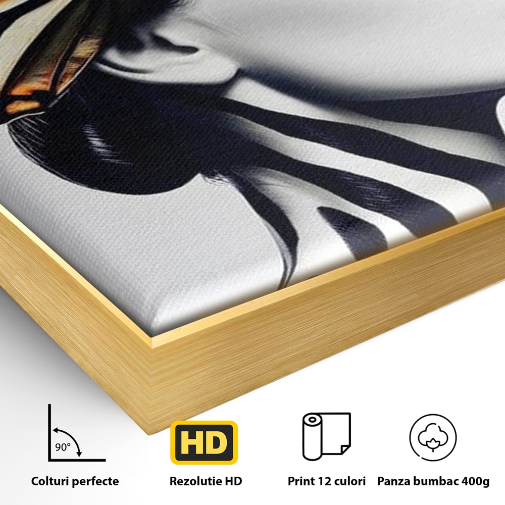 Detaliu al suprafetei: tablou canvas cu femeie si aripa de fluture, in rama de aluminiu auriu