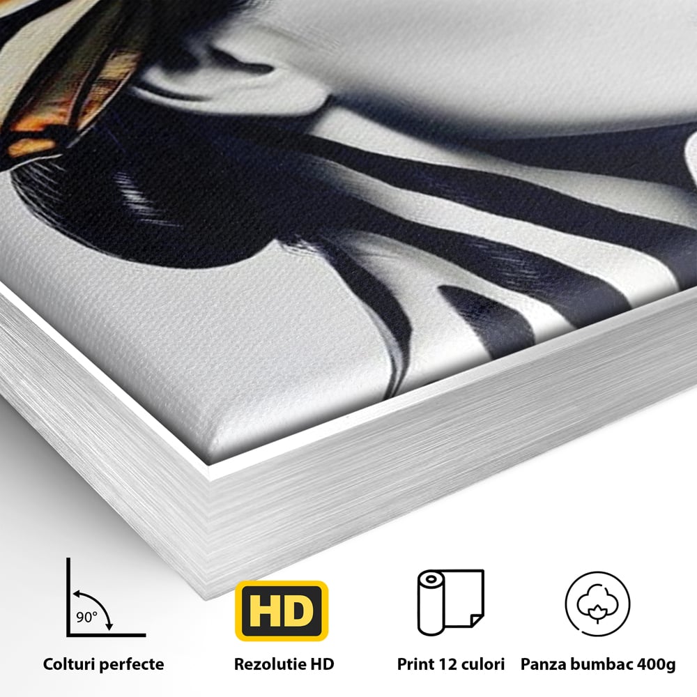 Detaliu al suprafetei: tablou canvas cu femeie si aripa de fluture, in rama de aluminiu argintiu