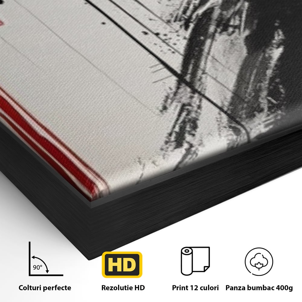 Detaliu al suprafetei: tablou vertical cu gheisa in tus, in rama de aluminiu negru