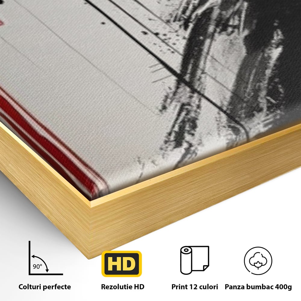 Detaliu al suprafetei: tablou vertical cu gheisa in tus, in rama de aluminiu auriu