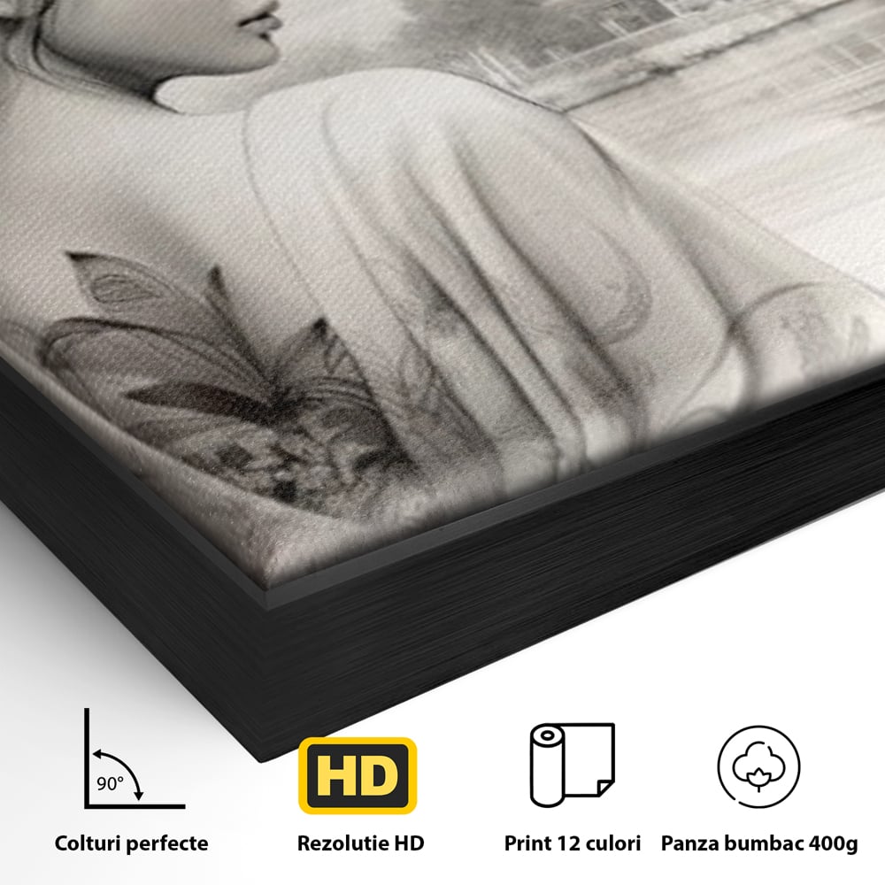 Detaliu al suprafetei: tablou canvas cu gheisa si pagoda, in rama de aluminiu negru