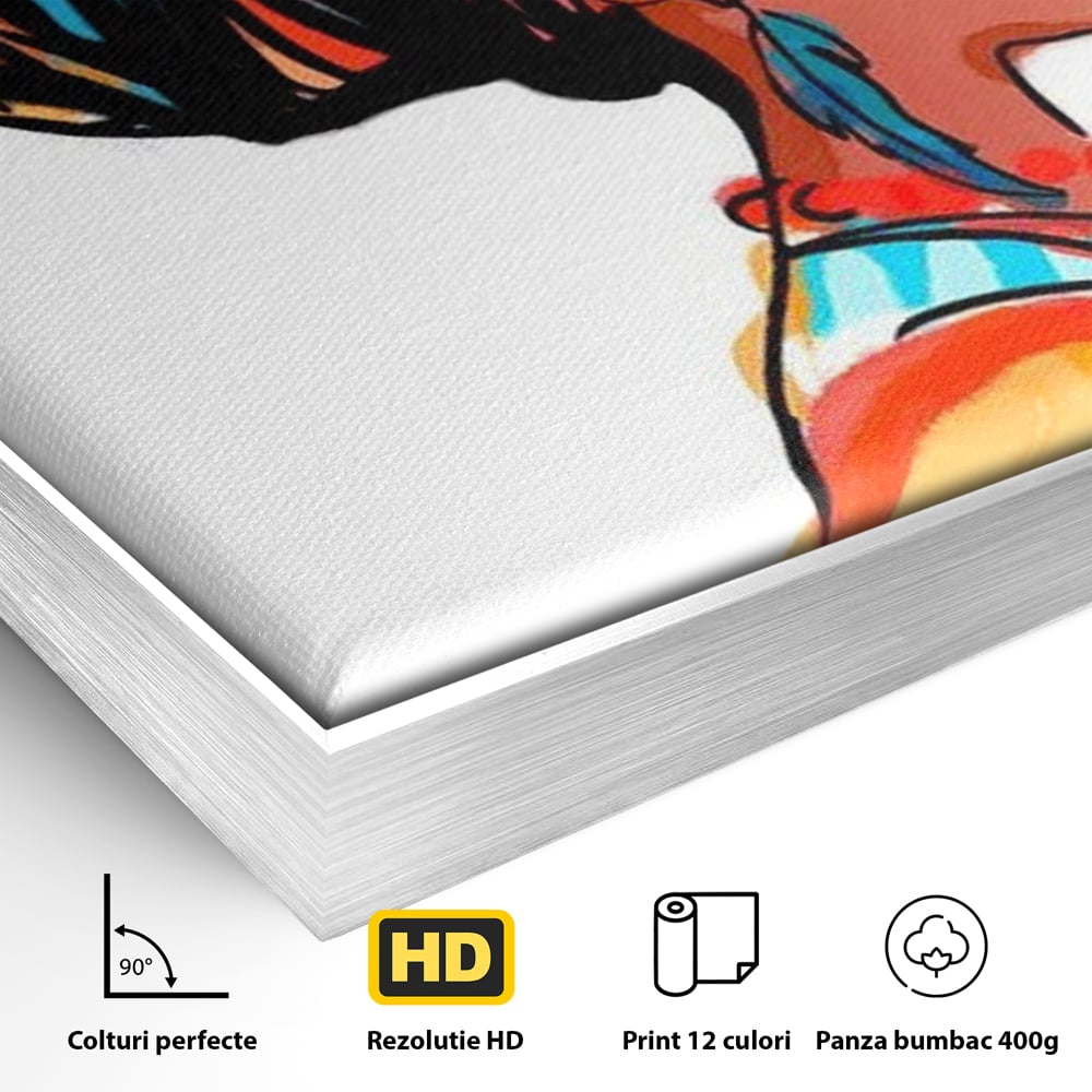 Detaliu al suprafetei: ilustratie digitala cu profil de femeie, in rama de aluminiu argintiu