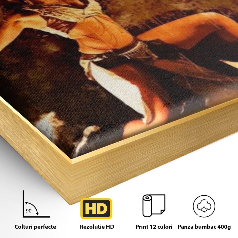 Detaliu al suprafetei: tablou canvas cu dansatoare de foc, in rama de aluminiu auriu