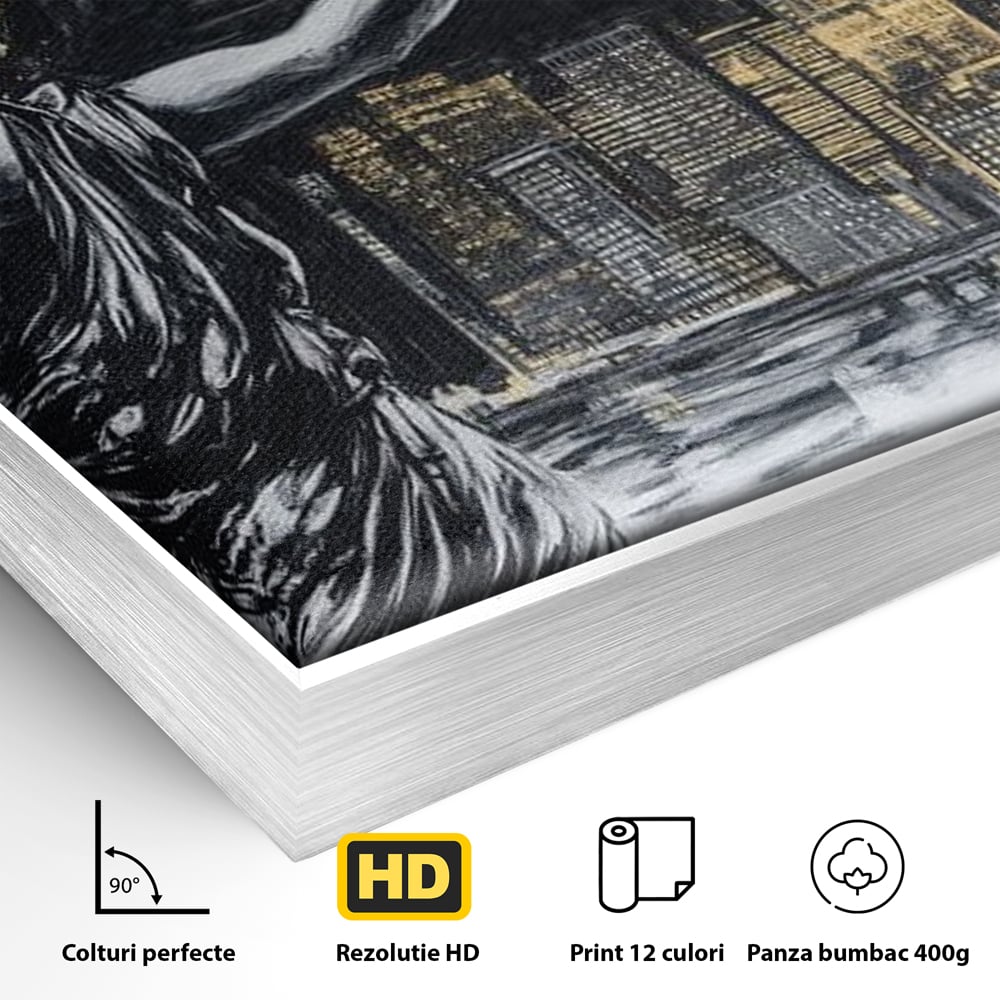Detaliu al suprafetei: tablou canvas cu femeie si craniu, in rama de aluminiu argintiu