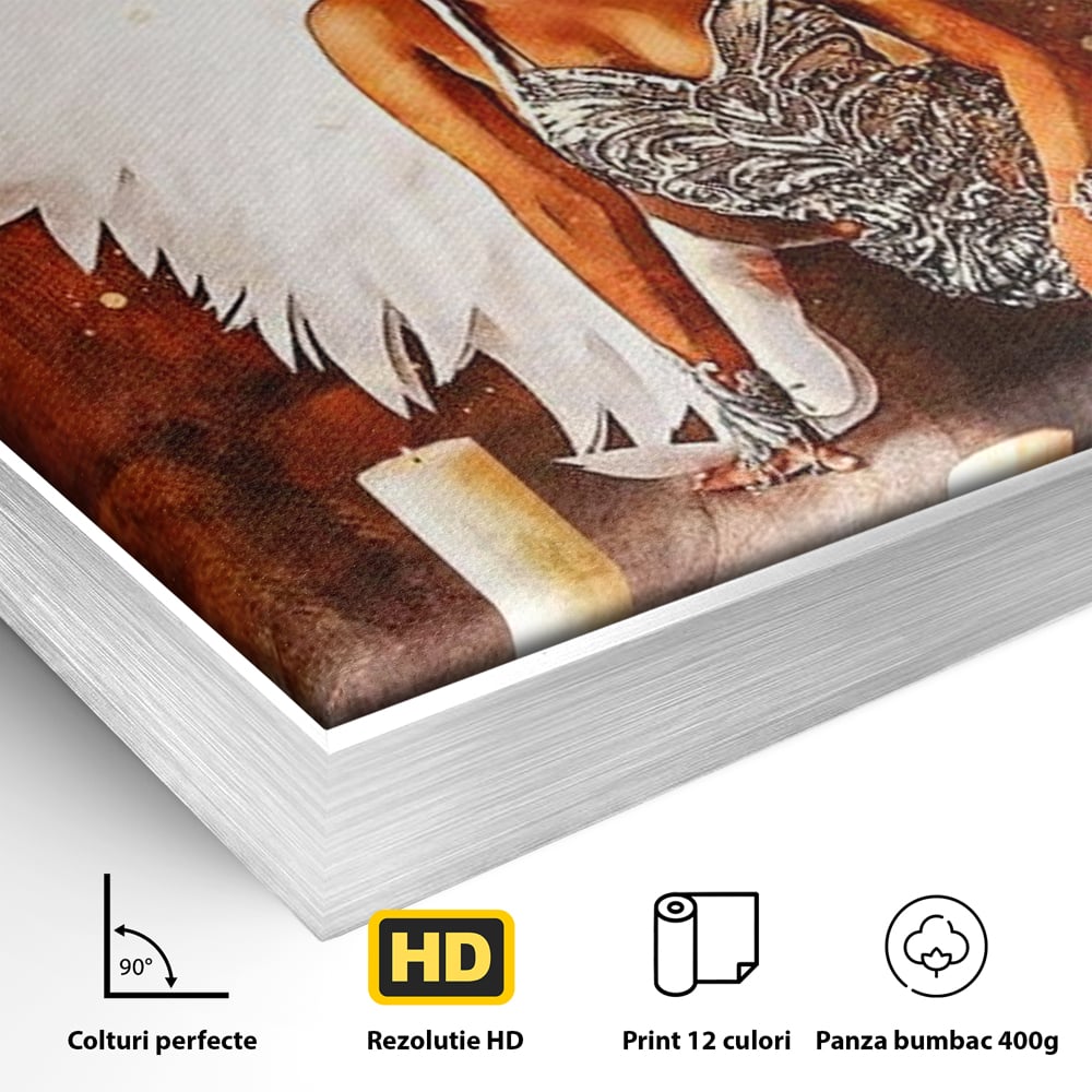 Detaliu al suprafetei: tablou canvas cu inger si aripi, in rama de aluminiu argintiu