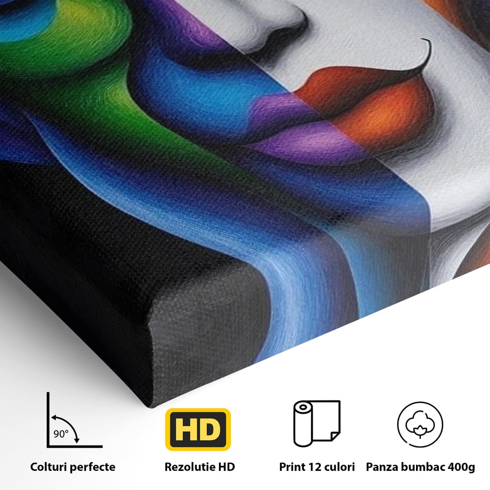 Detaliu al suprafetei: portret abstract feminin bicolor, fara rama, pe sasiu de lemn