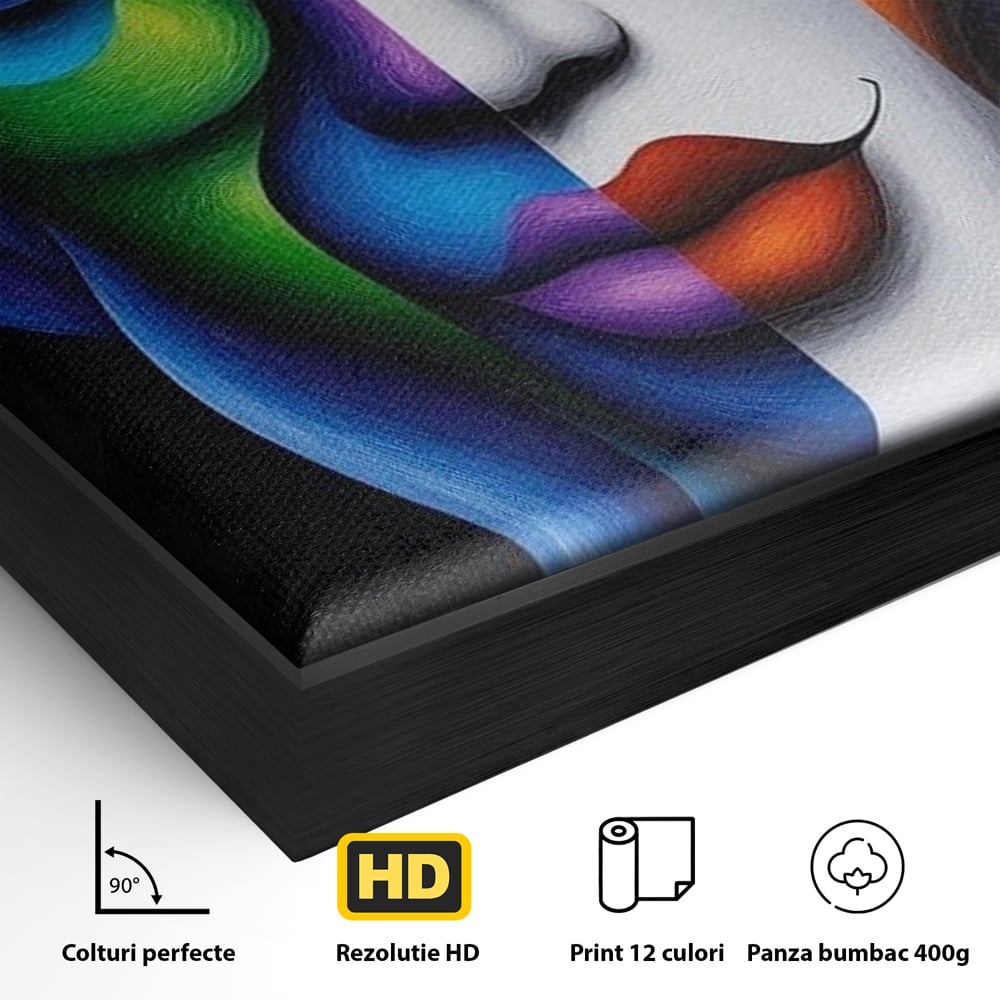 Detaliu al suprafetei: portret abstract feminin bicolor, in rama de aluminiu negru