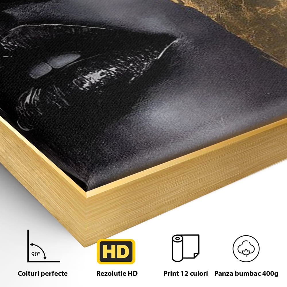 Detaliu al suprafetei: tablou canvas cu chip de femeie, in rama de aluminiu auriu