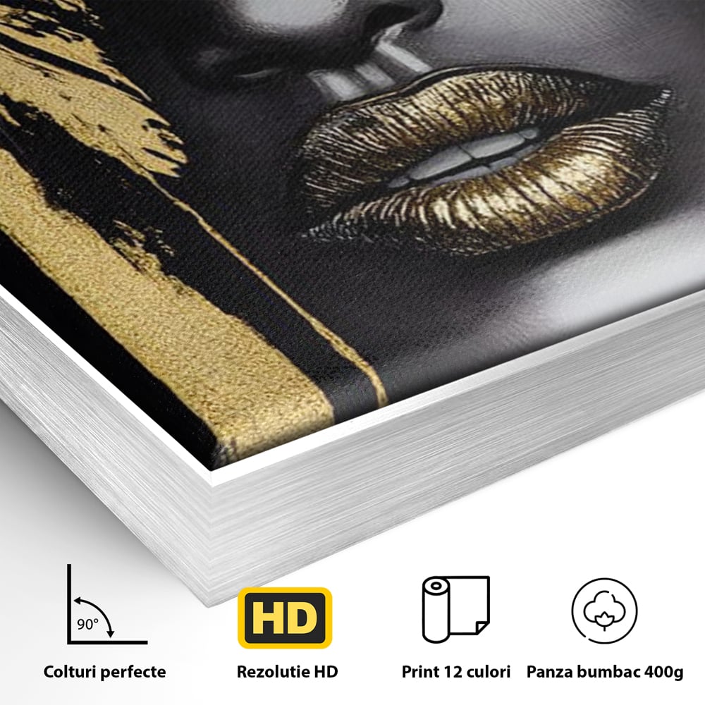 Detaliu al suprafetei: tablou canvas cu portret stilizat de femeie, in rama de aluminiu argintiu