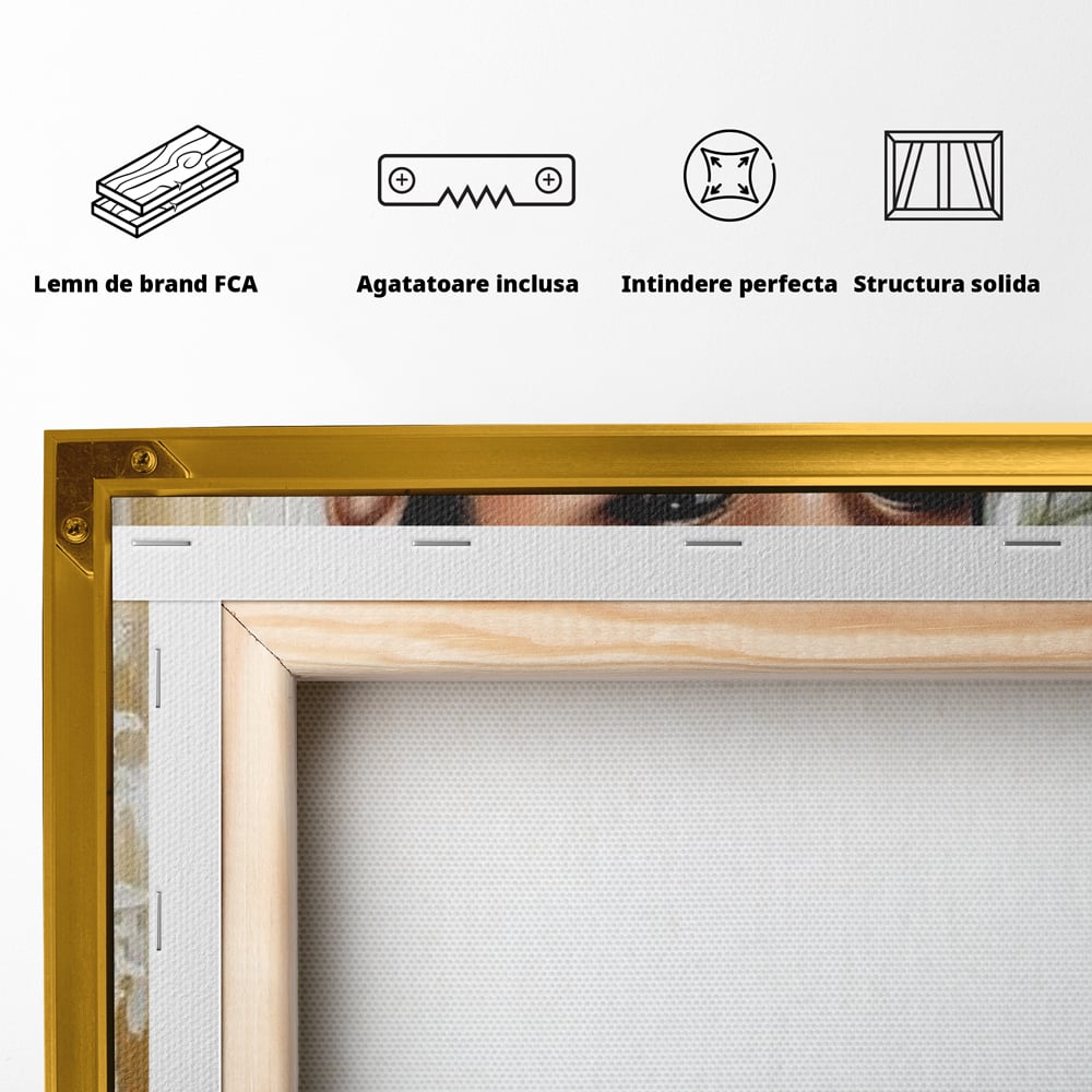 Spatele produsului, cu sasiu din lemn, capse metalice si agatatoare