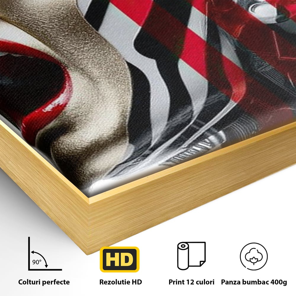 Detaliu al suprafetei: tablou canvas cu femeie futurista urland, in rama de aluminiu auriu