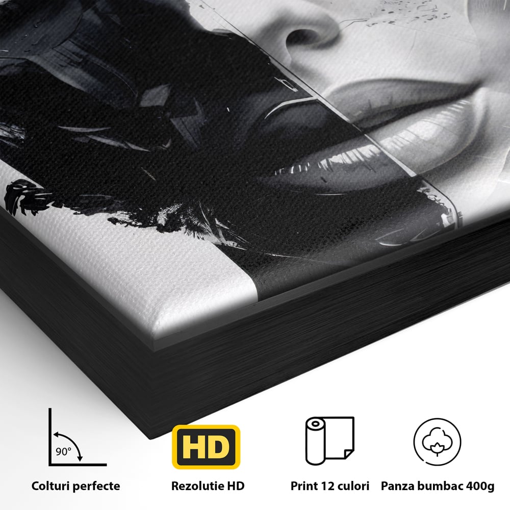 Detaliu al suprafetei: tablou canvas cu chip de femeie in doua nuante, in rama de aluminiu negru