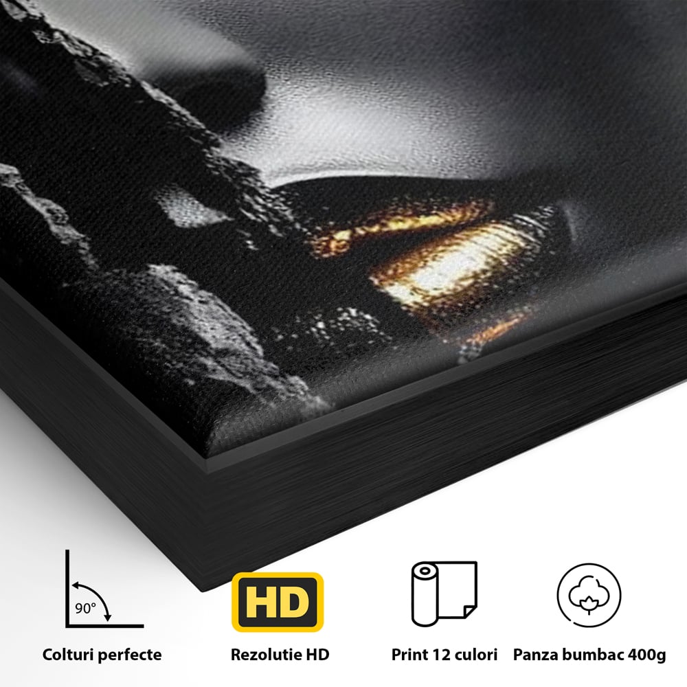 Detaliu al suprafetei: tablou canvas cu o femeie, in rama de aluminiu negru