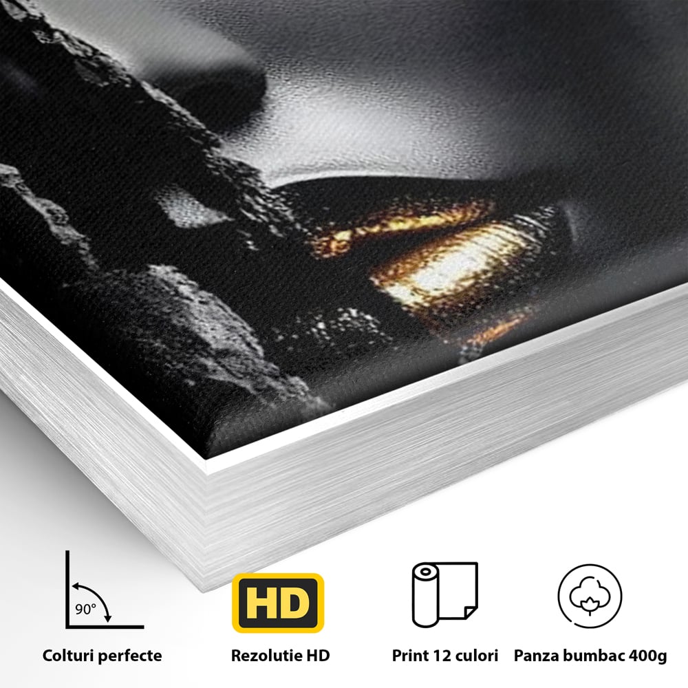 Detaliu al suprafetei: tablou canvas cu o femeie, in rama de aluminiu argintiu