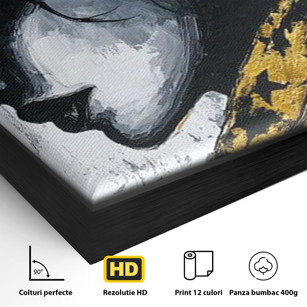 Detaliu al suprafetei: tablou canvas cu femeie profil, in rama de aluminiu negru