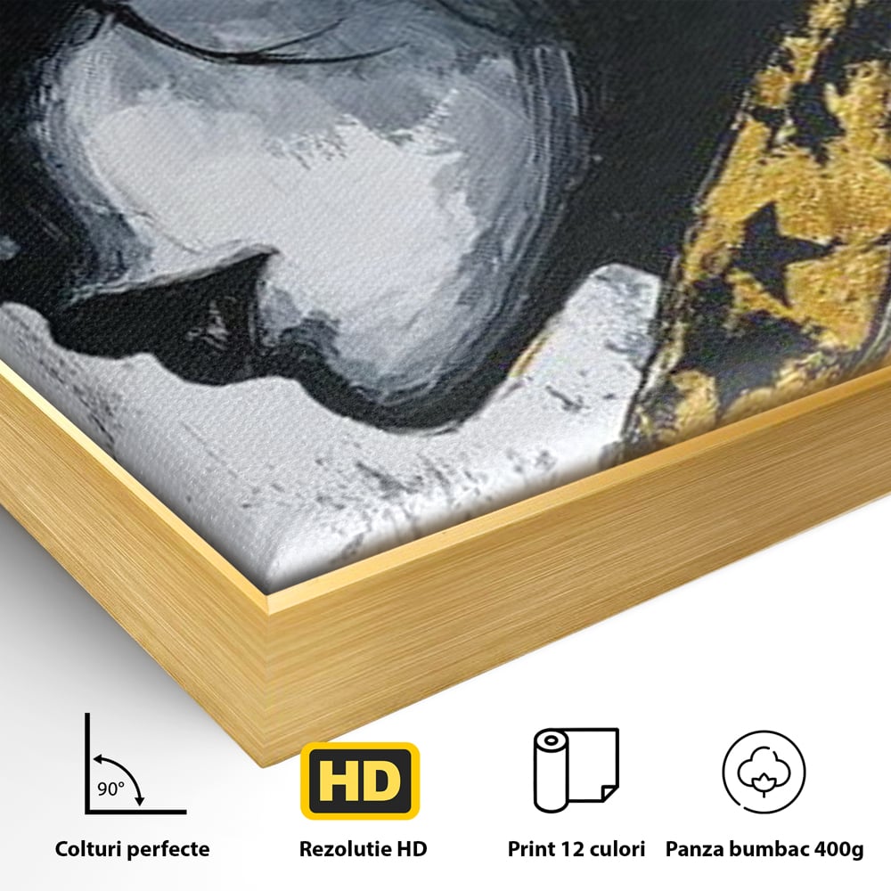 Detaliu al suprafetei: tablou canvas cu femeie profil, in rama de aluminiu auriu