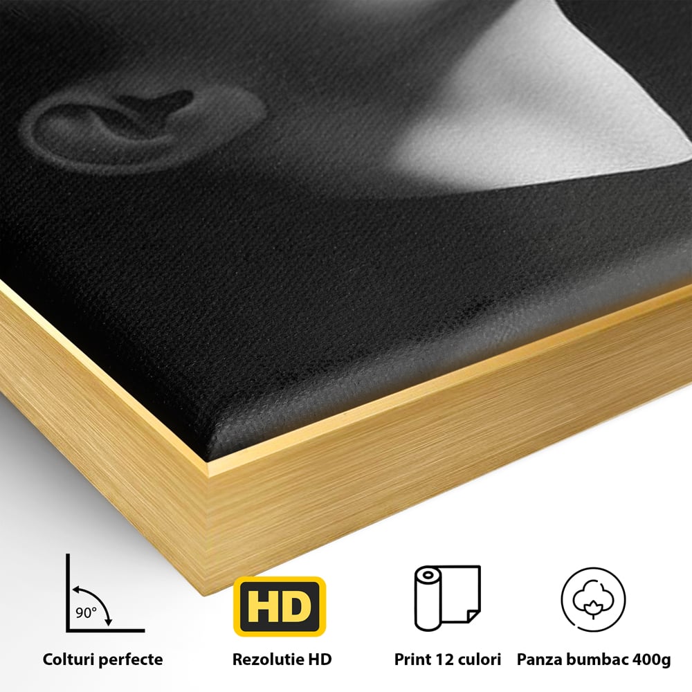 Detaliu al suprafetei: tablou canvas portret alb-negru femeie, in rama de aluminiu auriu